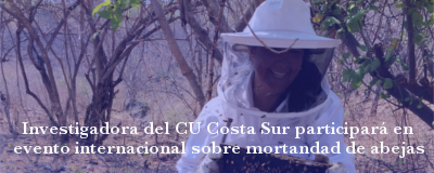 Nota: Investigadora CU Costa Sur problemática de abejas