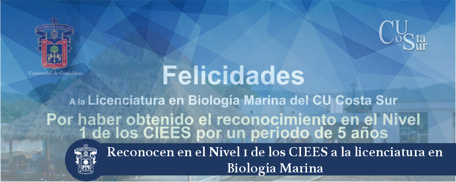 Banner: Acreditación Biología Marina