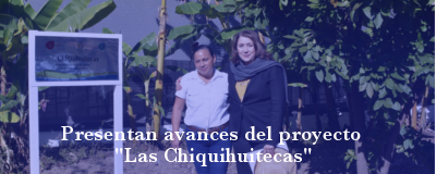 Banner: Avances del proyecto "Las Chiquihuitecas"