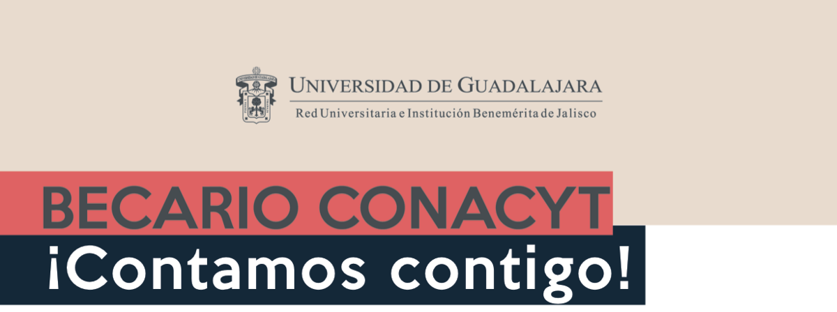 Banner: Conacyt Derecho