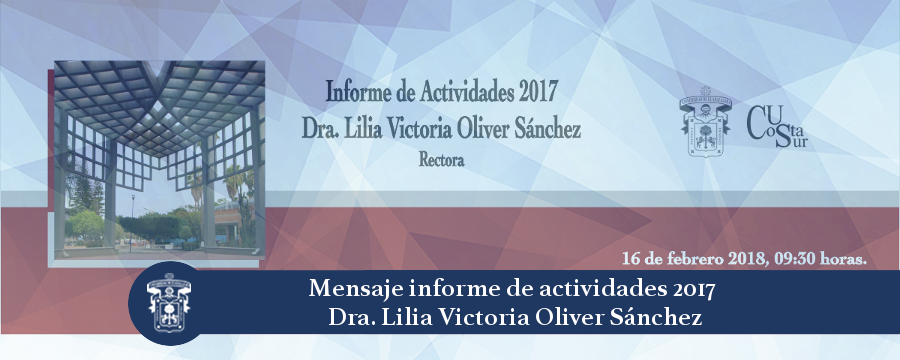 Banner: Informe 2017 CU Costa Sur