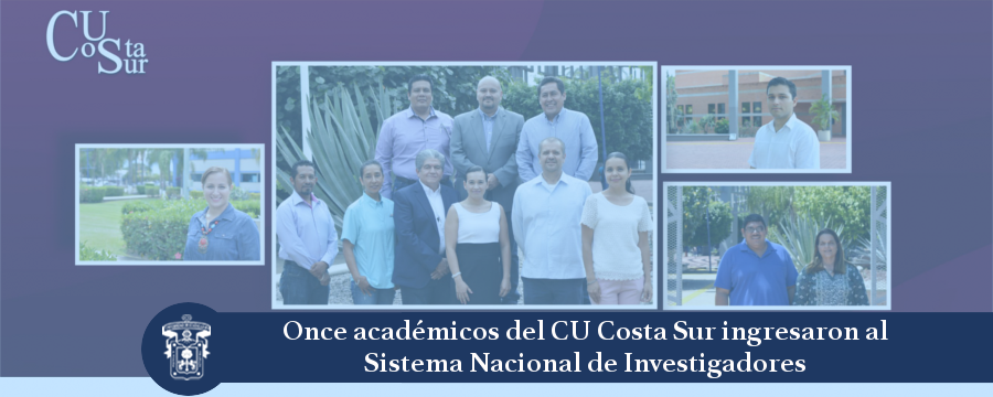 Banner: Sistema Nacional Investigadores