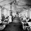 La epidemia de cólera morbus de 1833 en Guadalajara