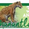 Nota: Manantlán, la tierra de los jaguares